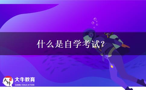 什么是自学考试？