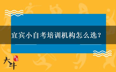 宜宾小自考培训机构怎么选？