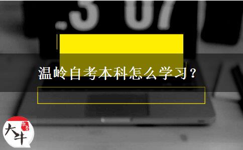 温岭自考本科怎么学习？