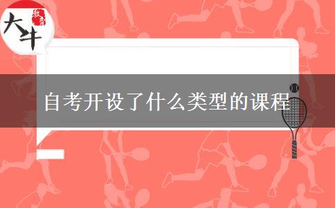 自考开设了什么类型的课程