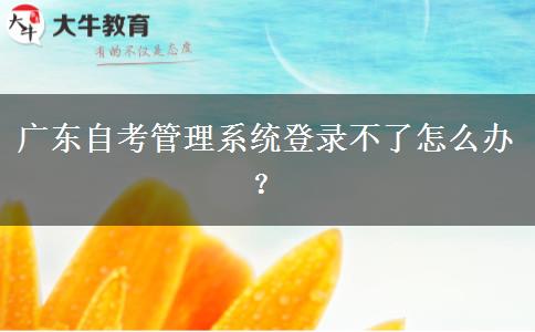 广东自考管理系统登录不了怎么办？