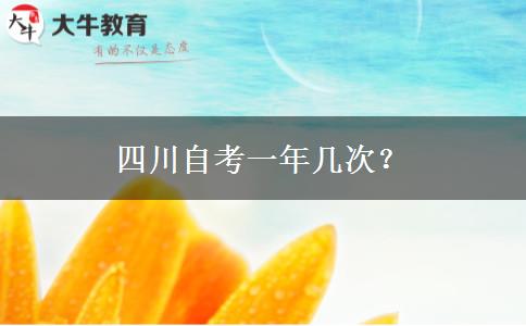 四川自考一年几次？