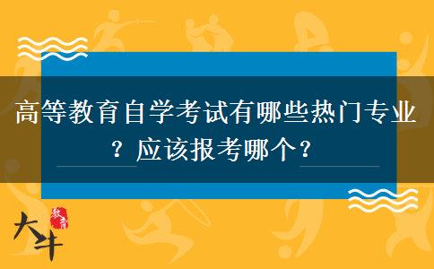 高等教育自学考试有哪些热门专业？应该报考哪个？