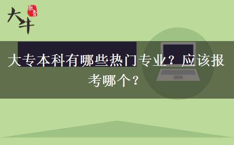 大专本科有哪些热门专业？应该报考哪个？