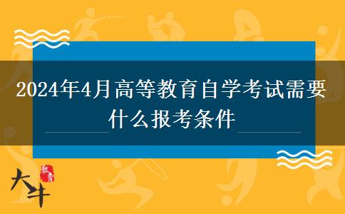 2024年4月高等教育自学考试需要什么报考条件