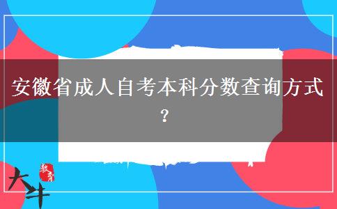 安徽省成人自考本科分数查询方式？