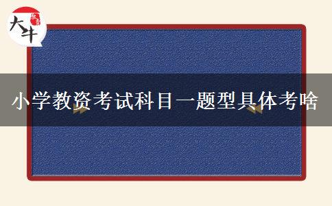 小学教资考试科目一题型具体考啥