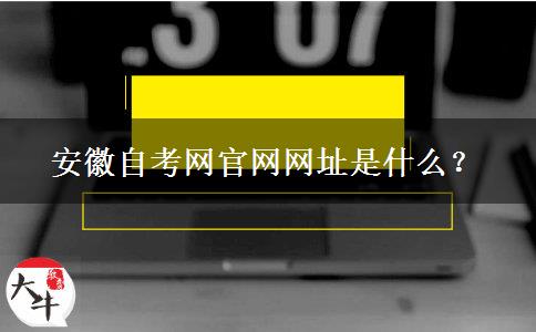 安徽自考网官网网址是什么？