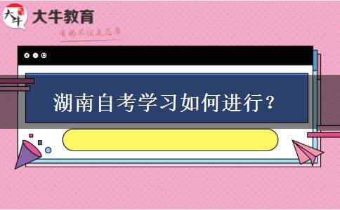 湖南自考学习如何进行？