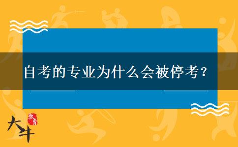 自考的专业为什么会被停考？