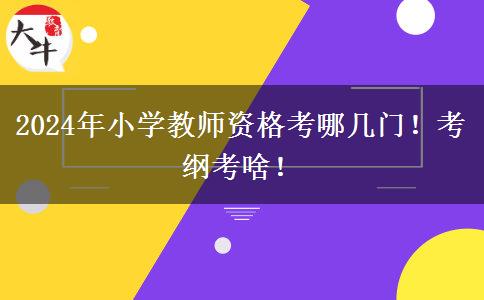 2024年小学教师资格考哪几门！考纲考啥！