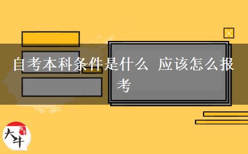 自考本科条件是什么 应该怎么报考