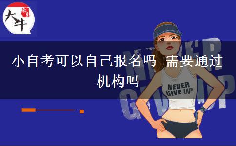 小自考可以自己报名吗 需要通过机构吗