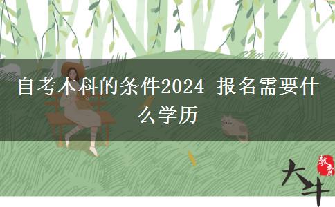 自考本科的条件2024 报名需要什么学历