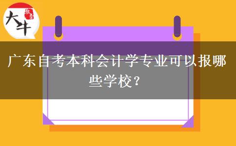 广东自考本科会计学专业可以报哪些学校？
