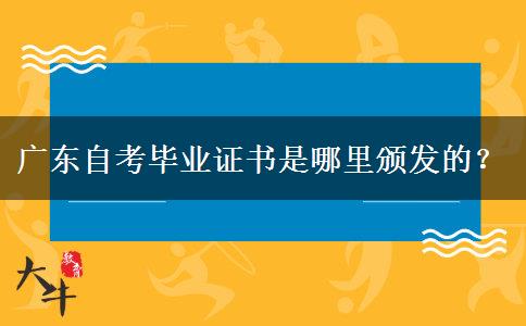 广东自考毕业证书是哪里颁发的？