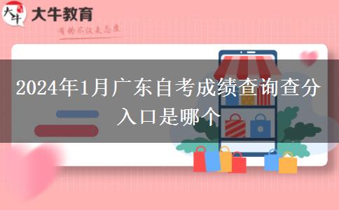 2024年1月广东自考成绩查询查分入口是哪个