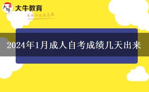 2024年1月成人自考成绩几天出来