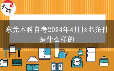 东莞本科自考2024年4月报名条件是什么样的