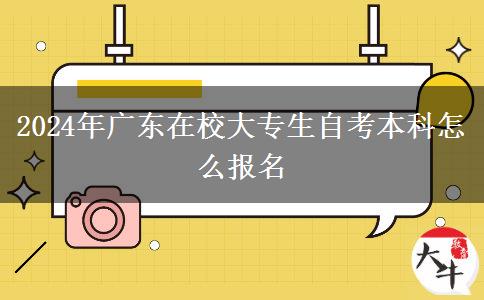 2024年广东在校大专生自考本科怎么报名