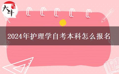 2024年护理学自考本科怎么报名