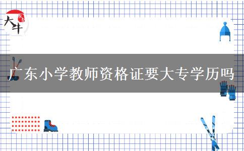 广东小学教师资格证要大专学历吗