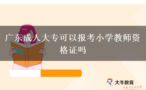 广东成人大专可以报考小学教师资格证吗