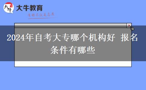 2024年自考大专哪个机构好 报名条件有哪些