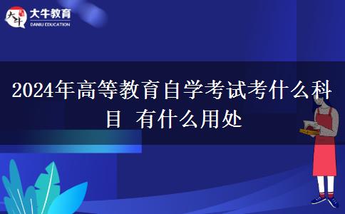 2024年高等教育自学考试考什么科目 有什么用处