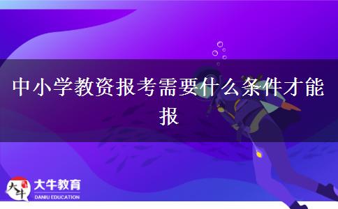 中小学教资报考需要什么条件才能报