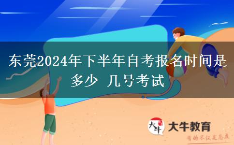 东莞2024年下半年自考报名时间是多少 几号考试