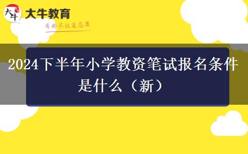 2024下半年小学教资笔试报名条件是什么（新）