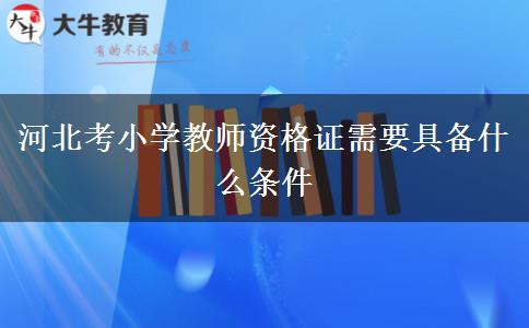 河北考小学教师资格证需要具备什么条件