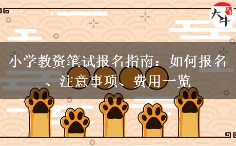 小学教资笔试报名指南：如何报名、注意事项、费用一览