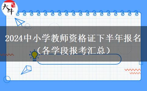 2024中小学教师资格证下半年报名（各学段报考汇总）