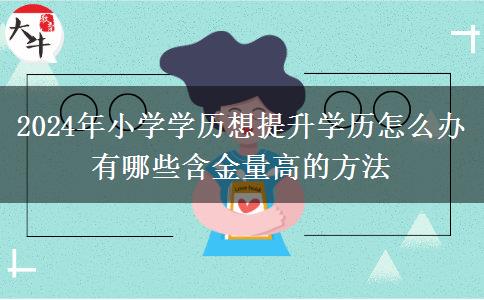 2024年小学学历想提升学历怎么办 有哪些含金量高的方法