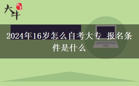 2024年16岁怎么自考大专 报名条件是什么