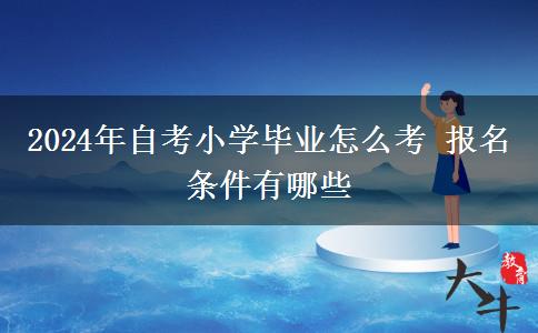 2024年自考小学毕业怎么考 报名条件有哪些