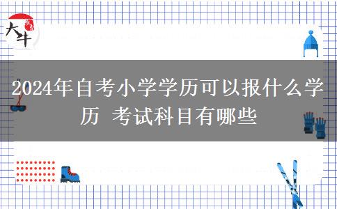 2024年自考小学学历可以报什么学历 考试科目有哪些