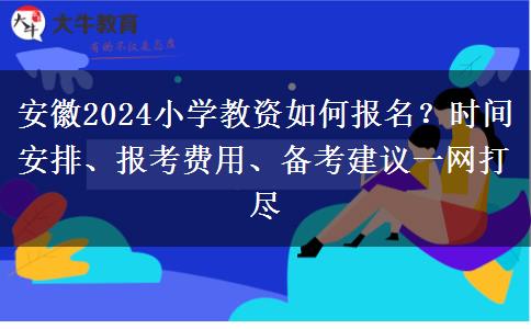 安徽2024小学教资如何报名？时间安排、报考费用、备考建议一网打尽