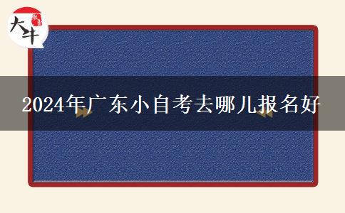 2024年广东小自考去哪儿报名好