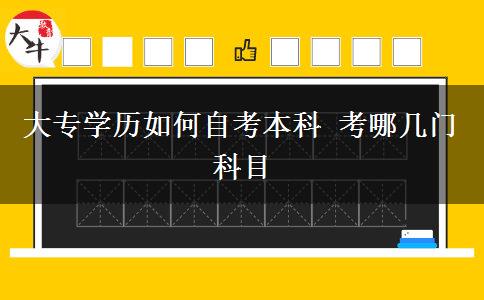 大专学历如何自考本科 考哪几门科目