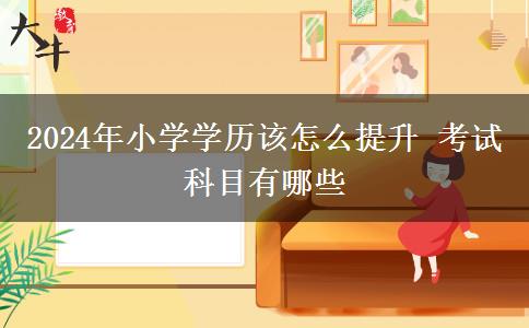 2024年小学学历该怎么提升 考试科目有哪些