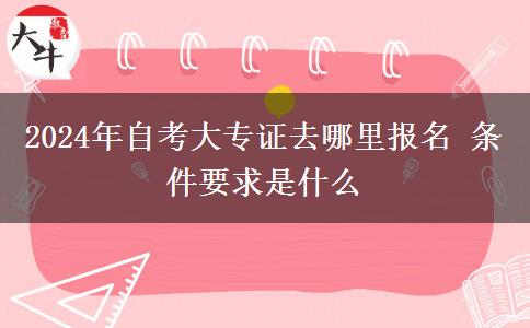 2024年自考大专证去哪里报名 条件要求是什么