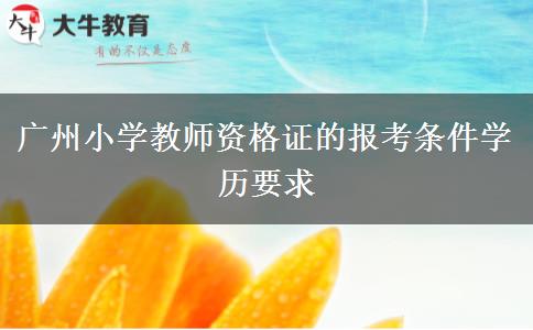 广州小学教师资格证的报考条件学历要求