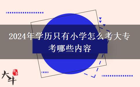 2024年学历只有小学怎么考大专 考哪些内容