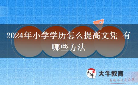 2024年小学学历怎么提高文凭 有哪些方法