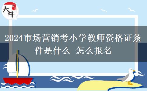 2024市场营销考小学教师资格证条件是什么 怎么报名