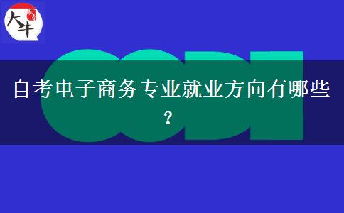 自考电子商务专业就业方向有哪些？
