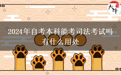2024年自考本科能考司法考试吗 有什么用处
